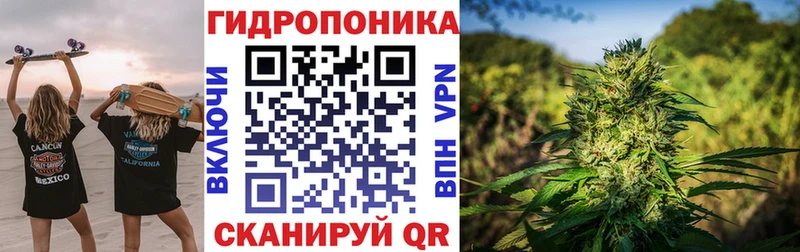 Канабис White Widow  наркотики  Сорск 